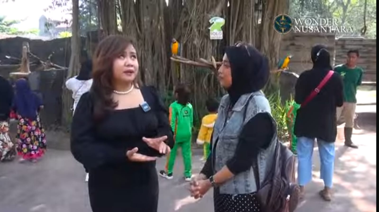 Galeri Solo Safari Part 1 – Walking Zoo: Menyapa Satwa dari Dekat di Jantung Kota Solo