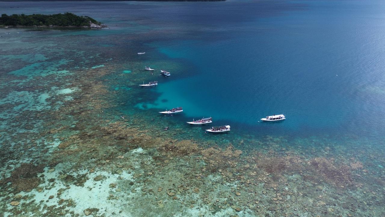 Galeri Karimun Jawa: Surga Tropis yang Menyimpan Ribuan Keajaiban Bawah Laut