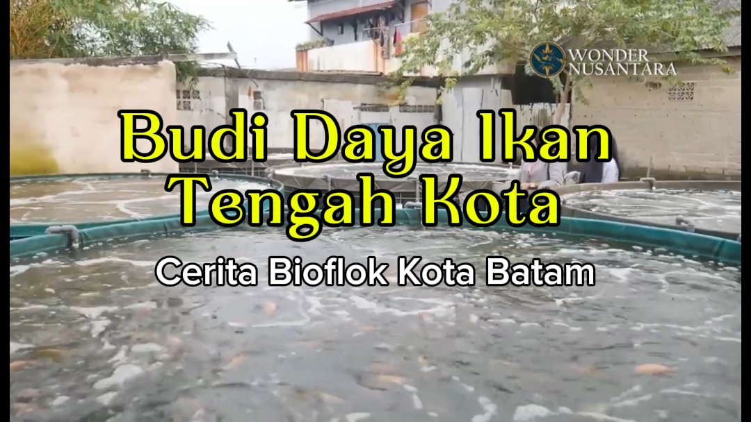 Budidaya Ikan Tengah Kota: Cerita Petani Ikan Bioflok Batam HOOK