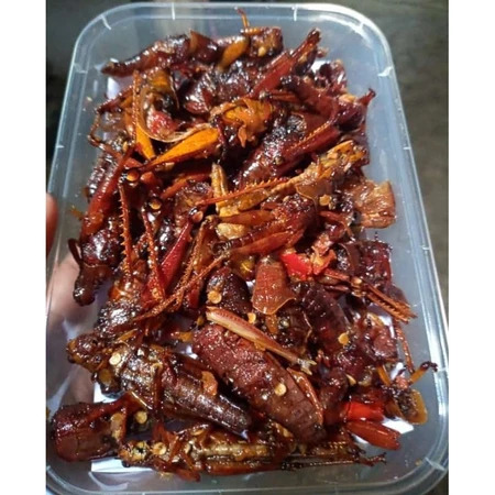 Belalang Goreng Gunung Kidul — Camilan Ekstrem Legendaris Nusantara