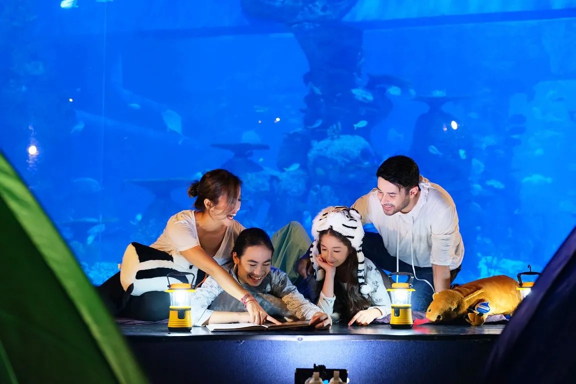 Petualangan Laut di Jakarta Aquarium & Safari