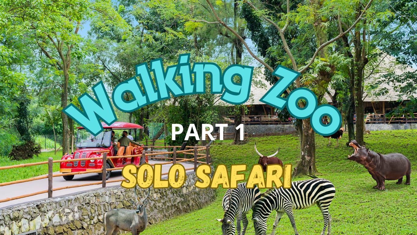 Solo Safari Part 1 – Walking Zoo: Menyapa Satwa dari Dekat di Jantung Kota Solo
