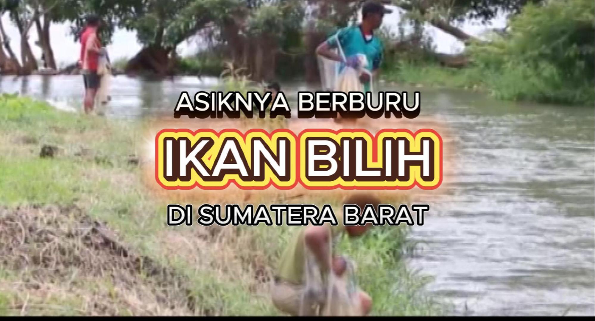 Asyiknya Menjaring Ikan Bilih: Tradisi yang Hidup di Sumatera Barat