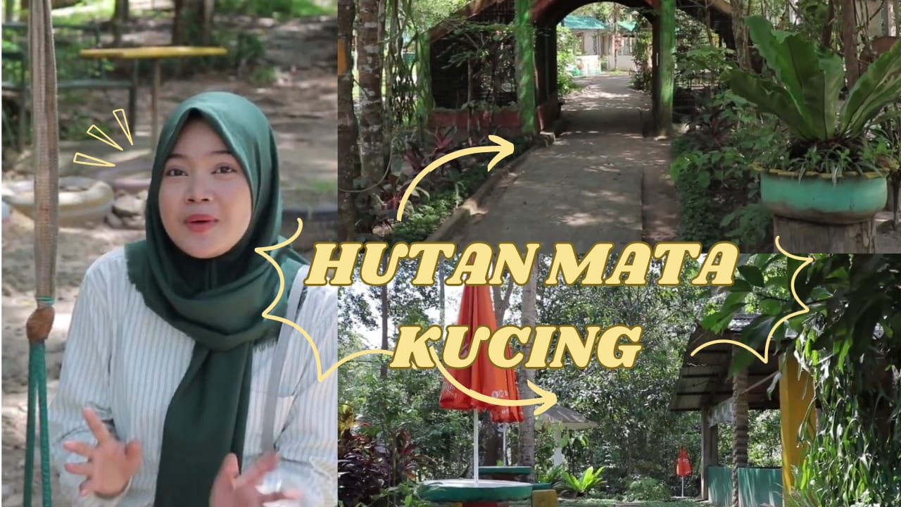Hutan Mata Kucing 