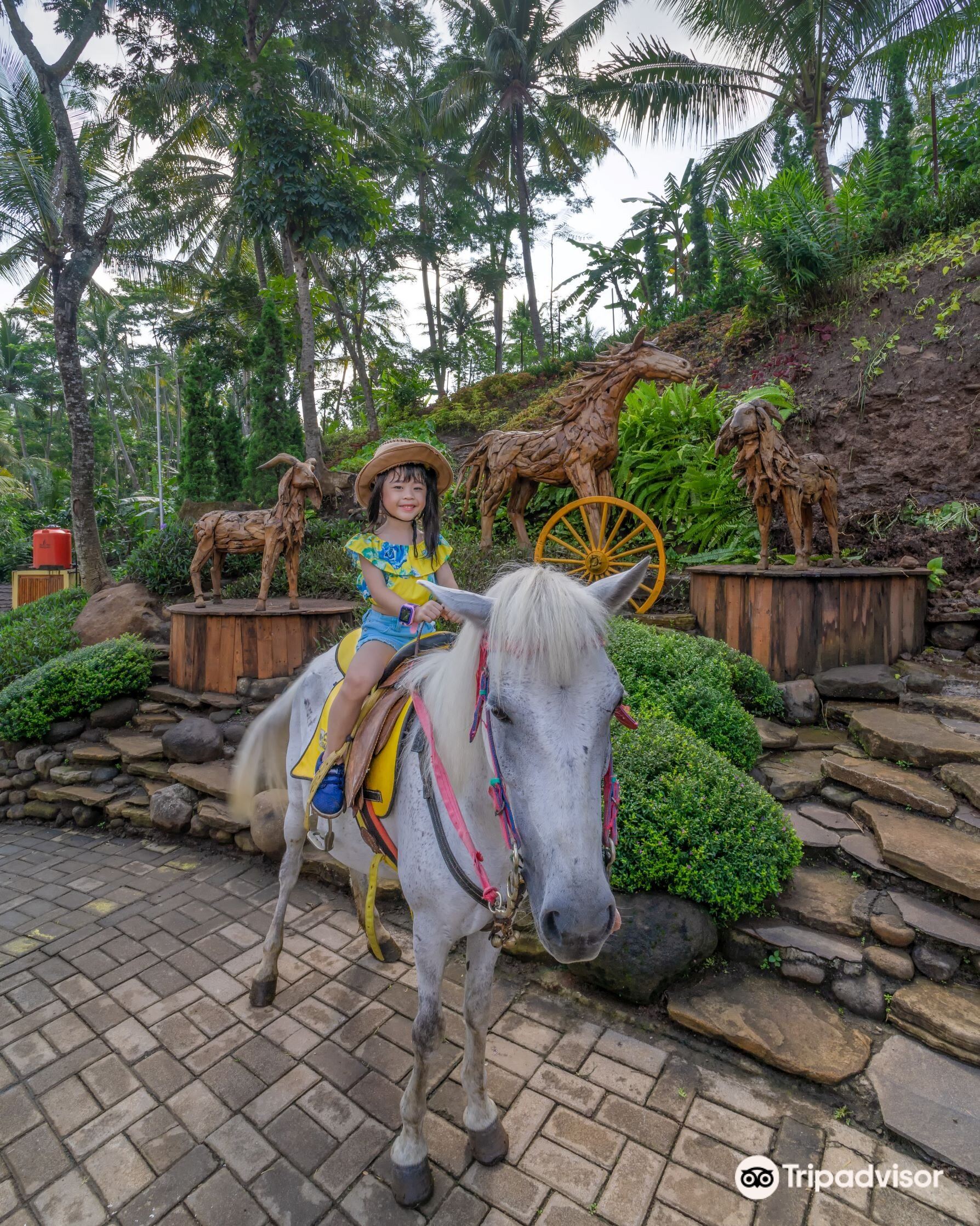Rekomendasi Wisata Cimory Dairyland On The Valley — Liburan Keluarga di Lereng Semarang