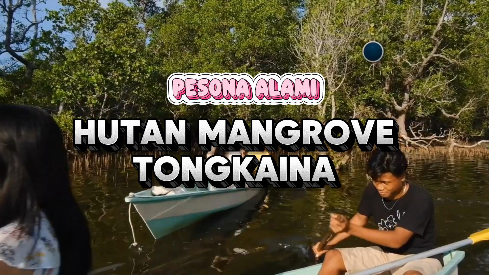Hutan Mangrove Tongkaina: Pesona Alami yang Menjaga Bunaken dari Daratan
