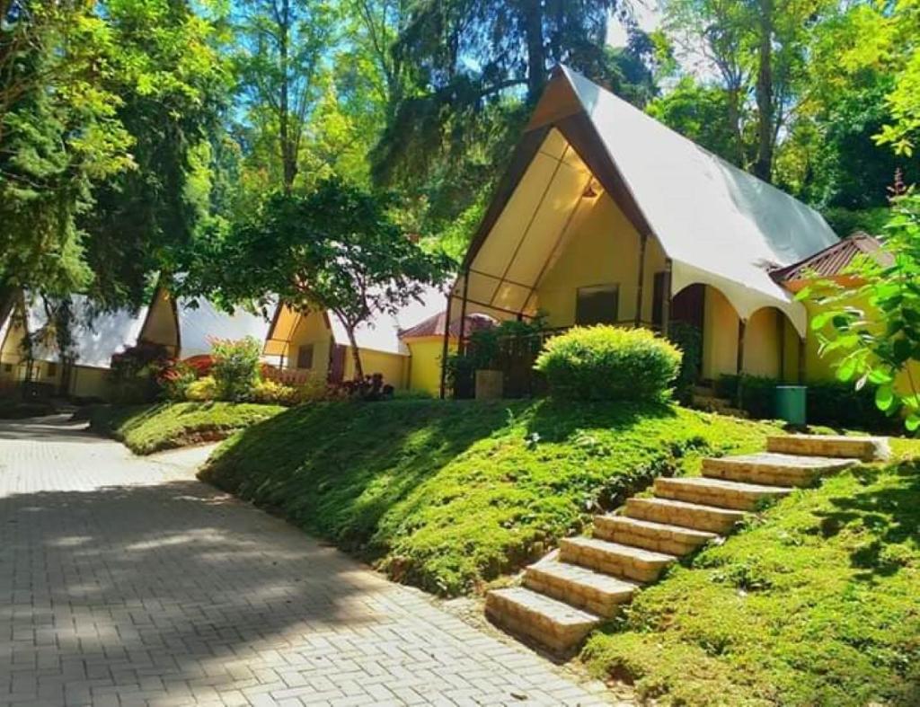 Lawu Forest Camp – Sarangan