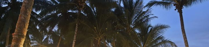 Galeri Horison Mayo Resort Jayapura