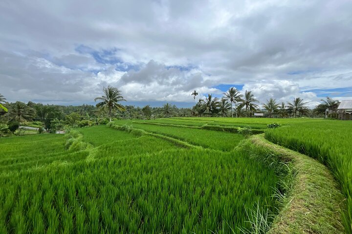 Galeri Trip : Benang Stokel, Kelambu Waterfall, Rice Field and Beach